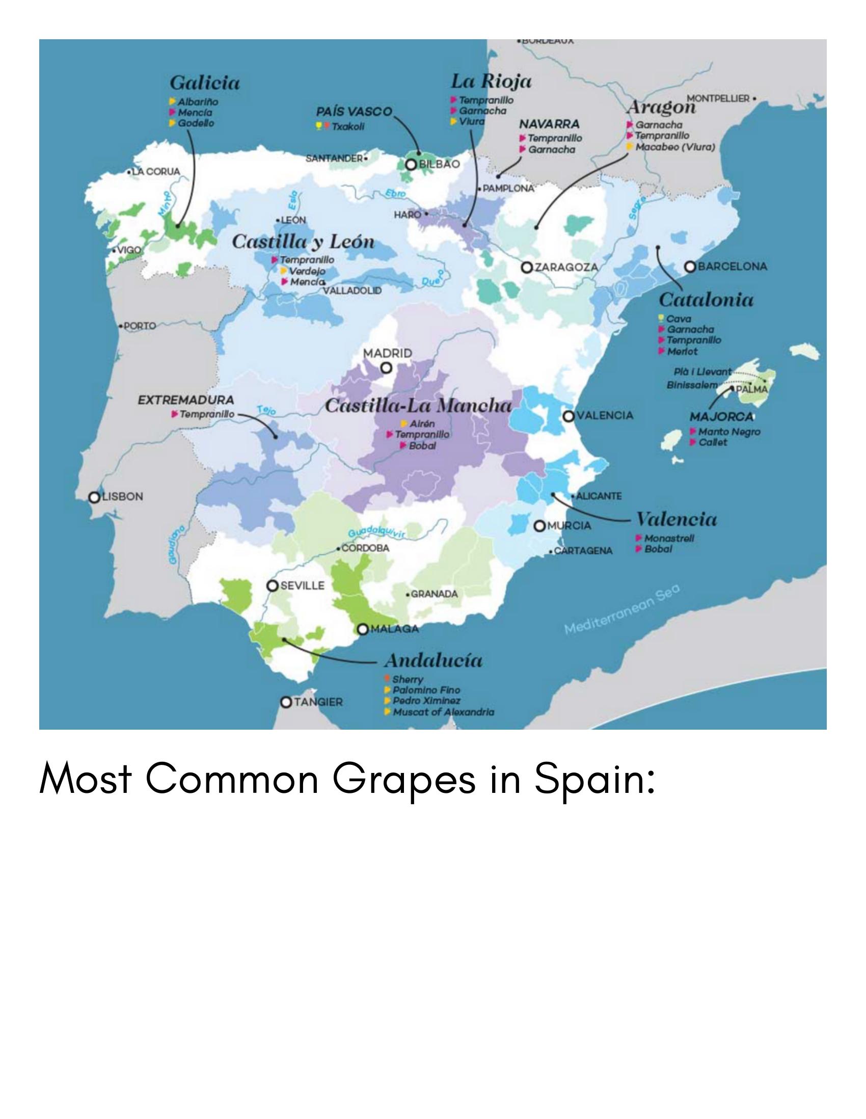 Slide highlighting Spain's most common grape varieties.