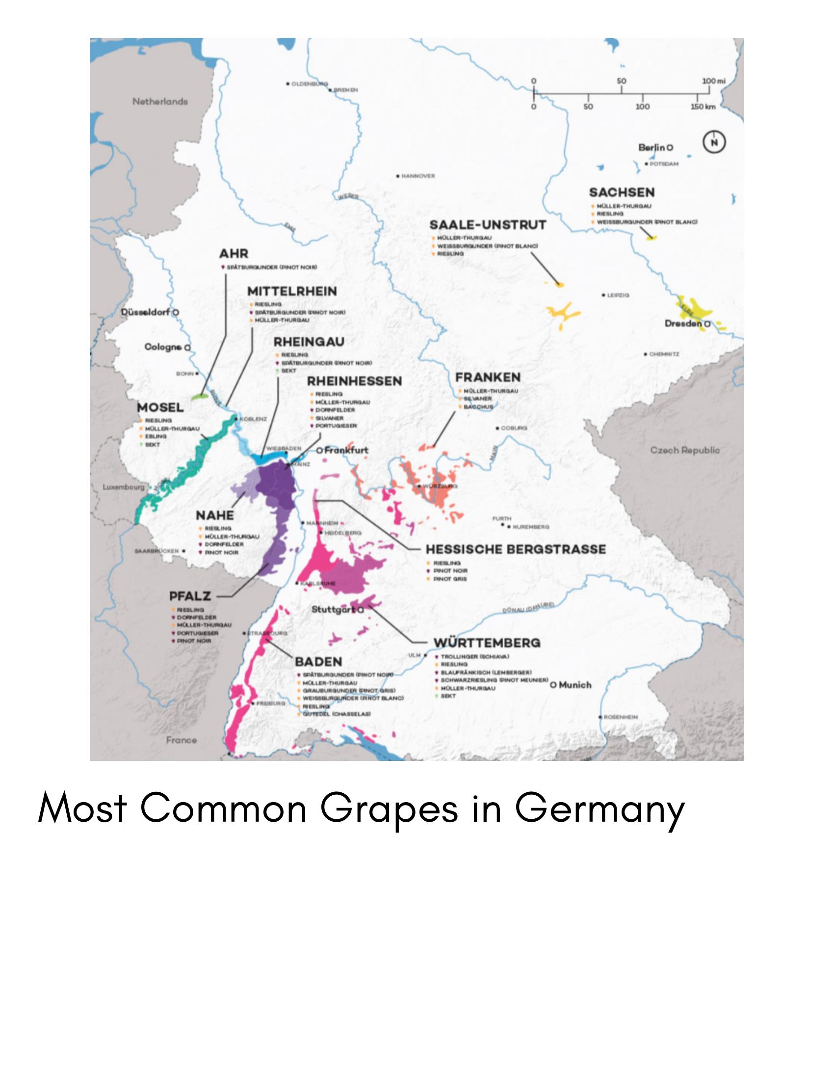 Slide introducing Germany's most common grapes.