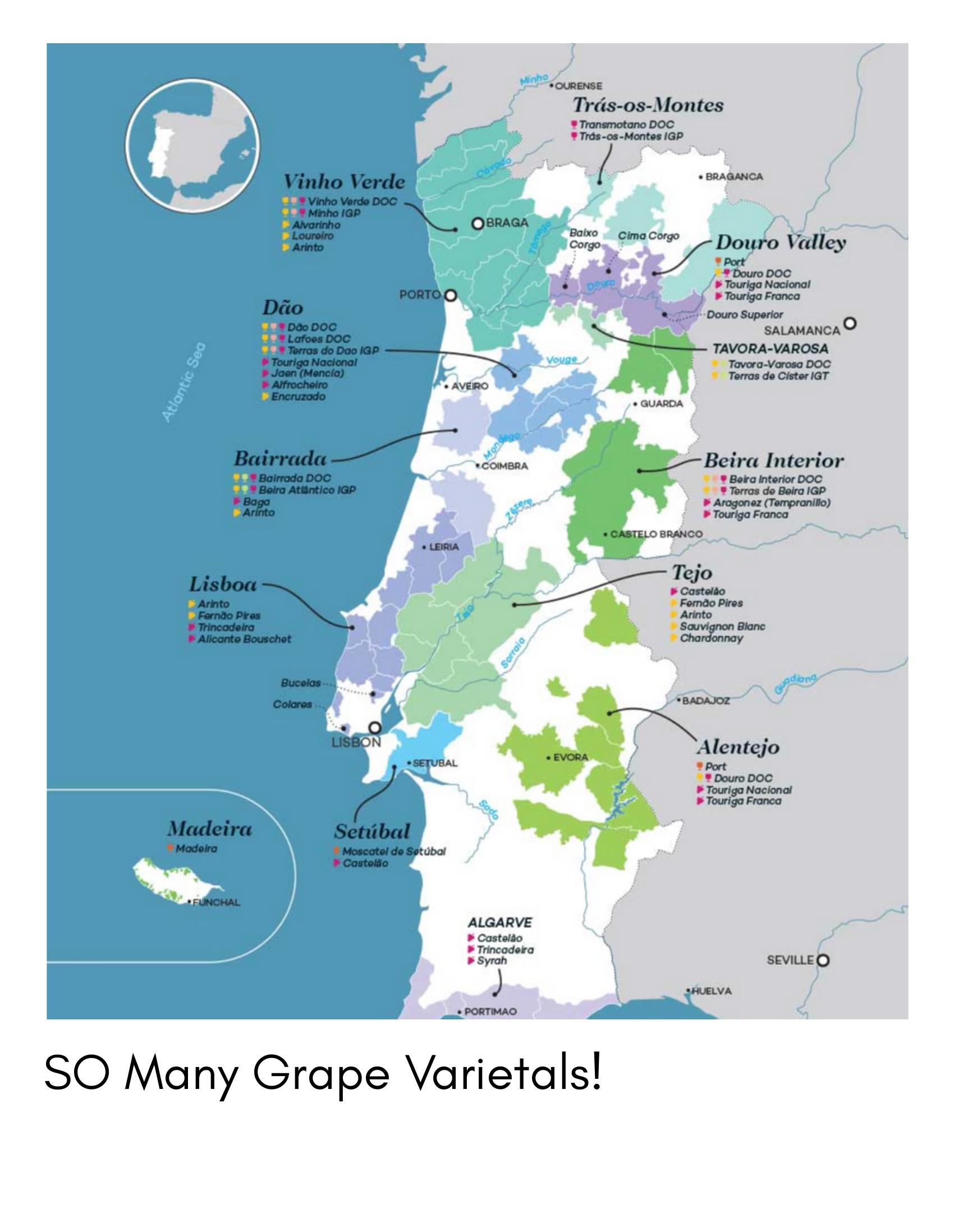 Slide emphasizing the diversity of Portuguese grape varieties.