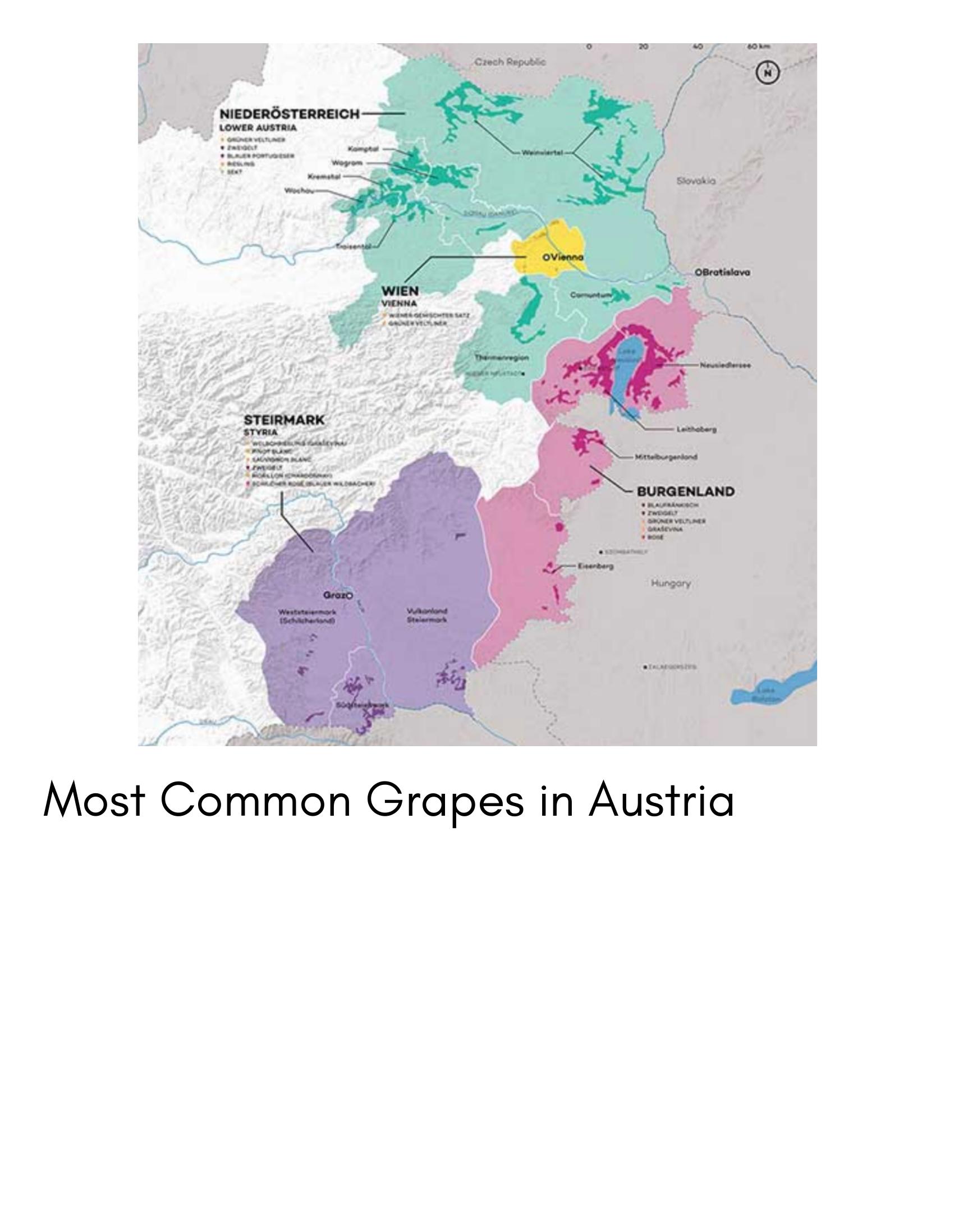 Map of Austrian wine regions including Wachau, Kamptal, Burgenland, Steiermark, and Wien