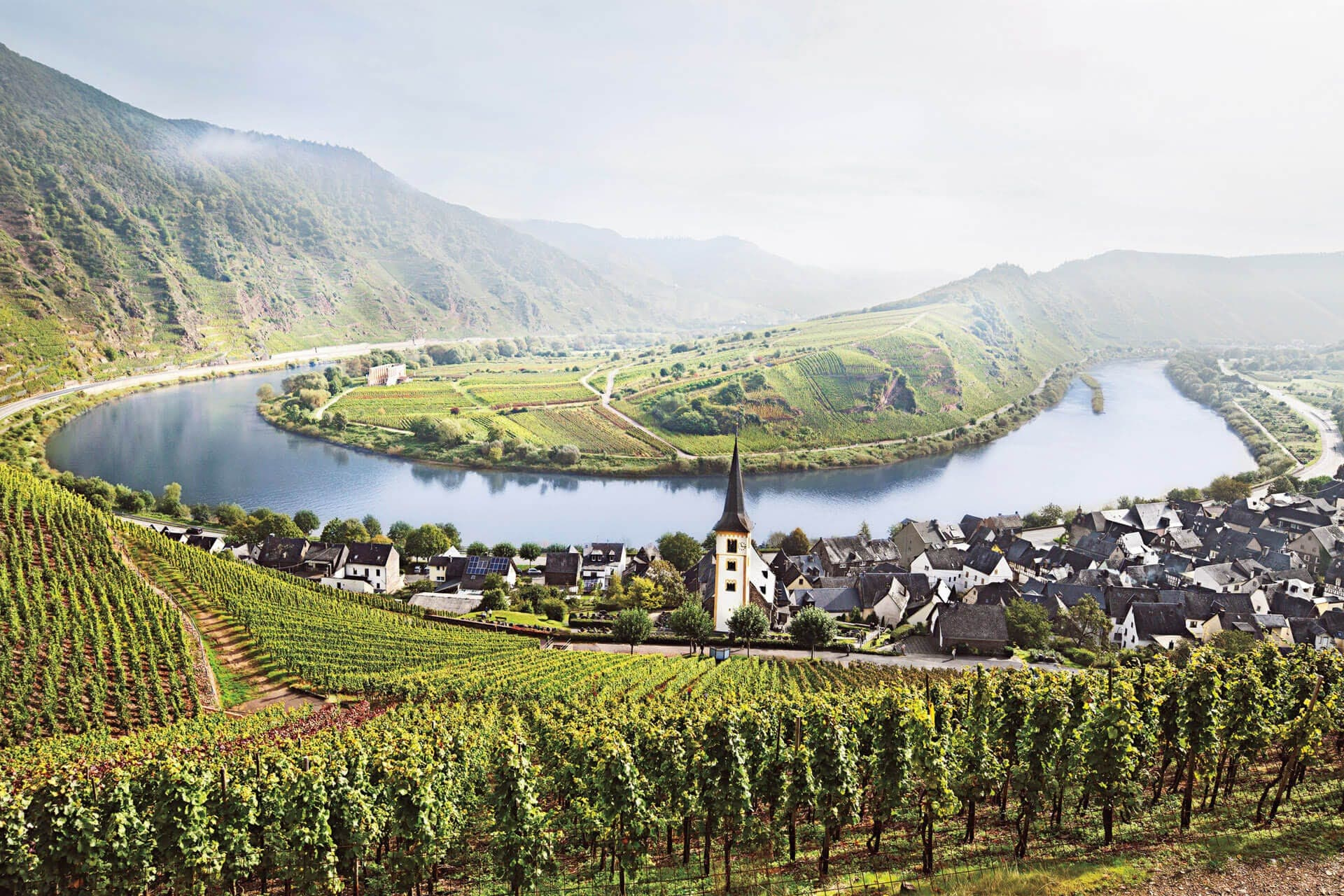 Mosel valley vineyard in Germany