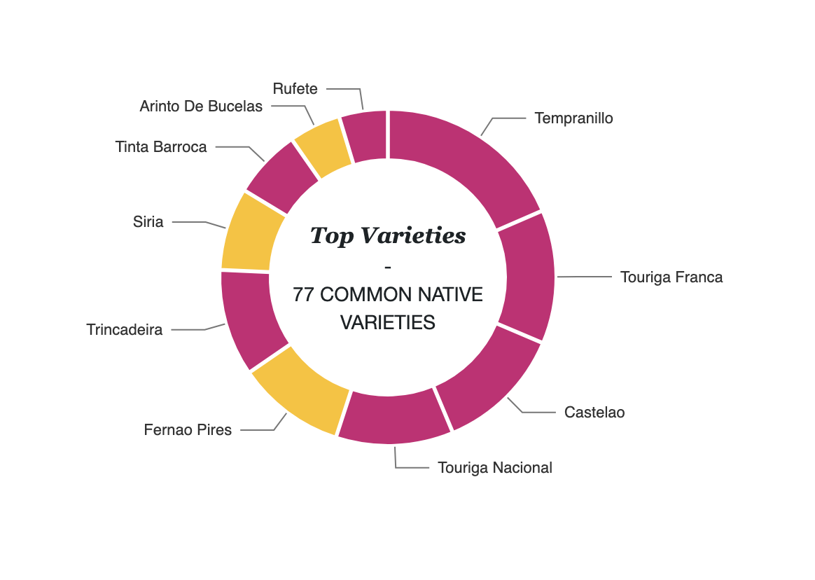 Portugal's top 77 common native grape varieties chart